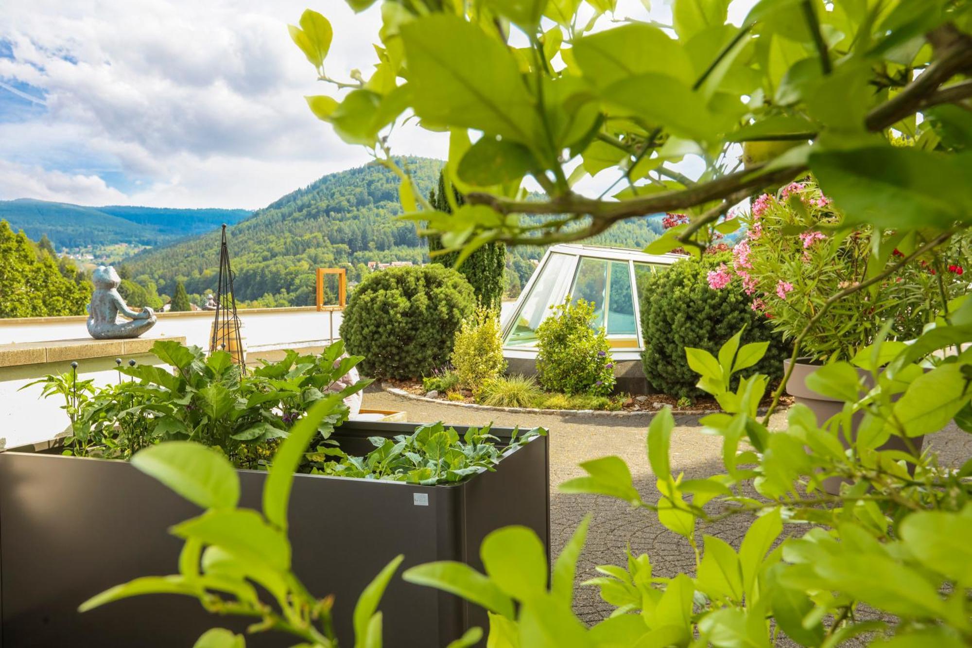 Hotel Schwarzwald Panorama Bad Herrenalb Esterno foto