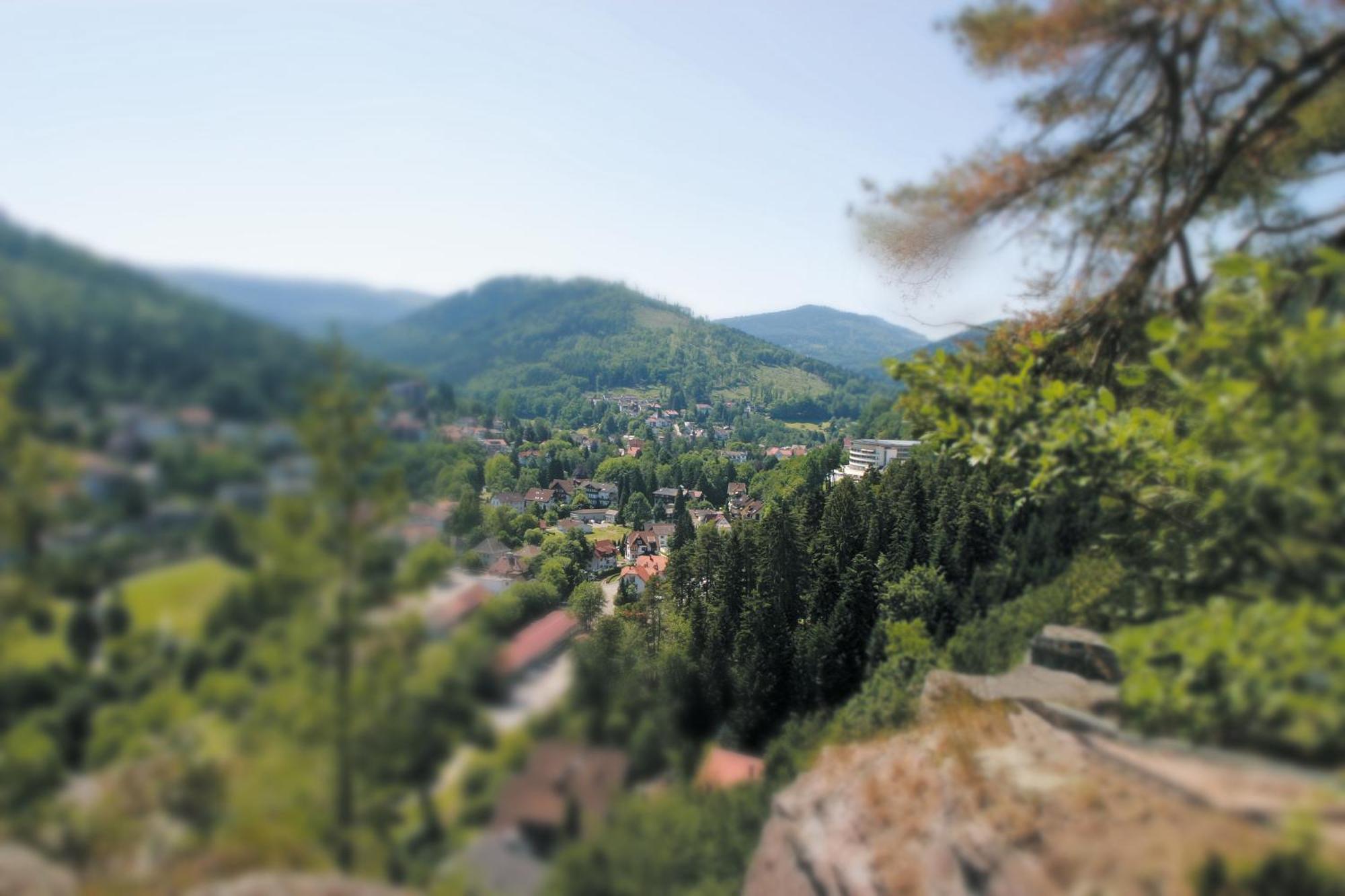 Hotel Schwarzwald Panorama Bad Herrenalb Esterno foto